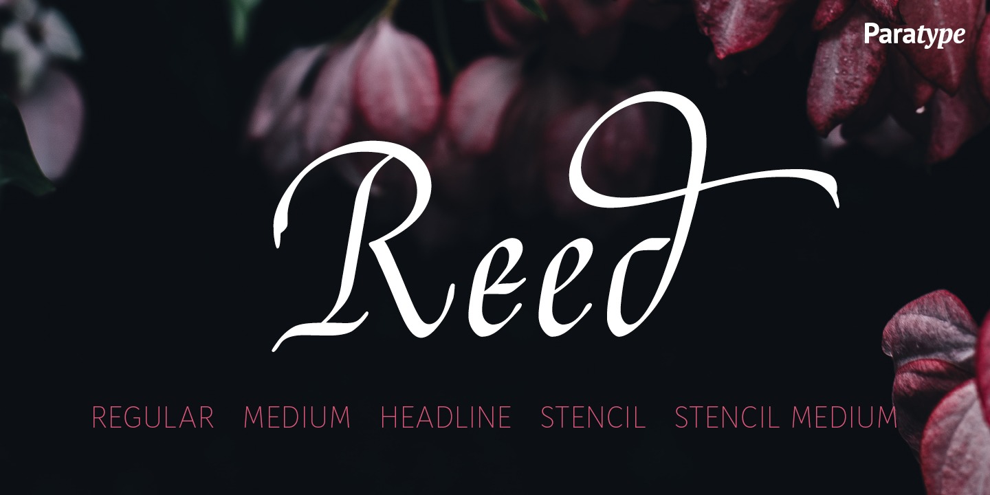 Beispiel einer Reed Regular-Schriftart